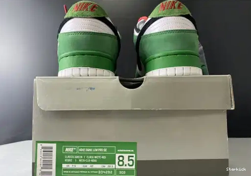 304292-302 Nike Dunk SB Low Heineken 0530